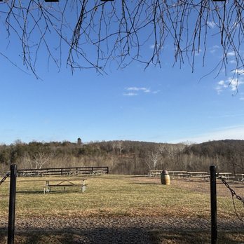 Chrysalis Vineyards - Wine Tasting Room Near Me - Middleburg, Virginia Chrysalis Vineyards - Wine Tasting Room Near Me - Middleburg, Virginia