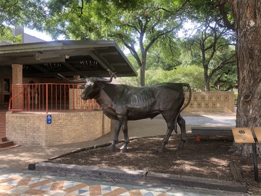 The University of Texas at Austin by null