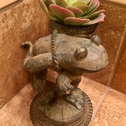 The Freckled Frog - Our little special find here today!
