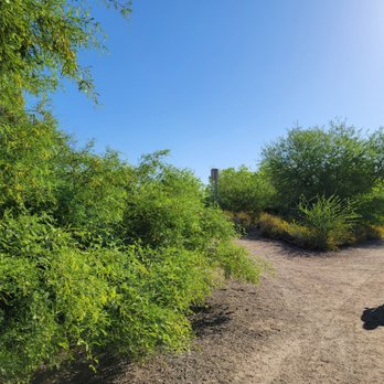 Riparian Preserve at Water Ranch - Parks Near Me - Gilbert, Arizona