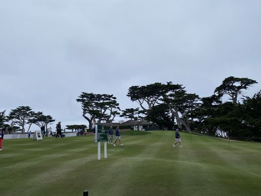 Cypress Point by null