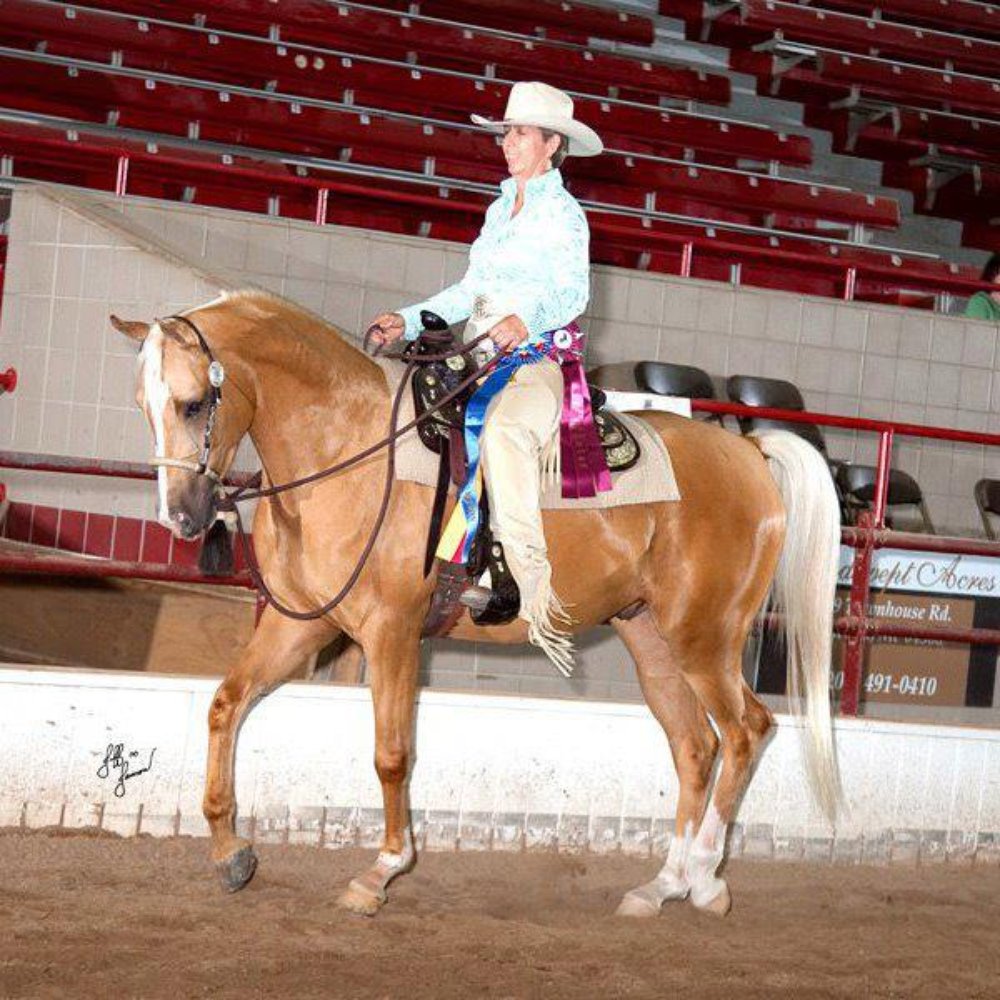 THE BEST 10 HORSE BOARDING in CICERO, NY - Updated 2025 - Hours - Yelp, image size:1000x1000