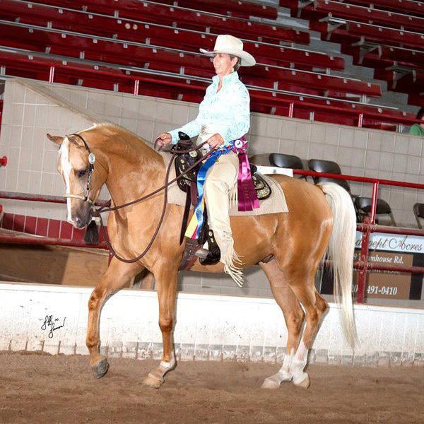Team Troxler Training - equestrian in Freeville, NY