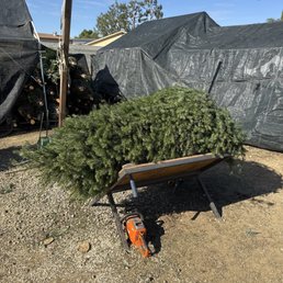 Christmas tree