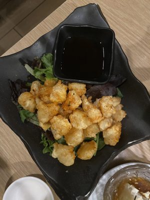 Fuji at Kendall by null