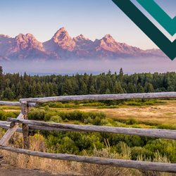 Insurance Solutions By Laramie Investment - Cover image