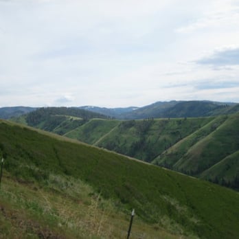 Cahill Mountain Road - Looking Up The Valley Toward The Snow-Covered Blues - Hiking Near Me - Dayton, Washington Cahill Mountain Road - Looking Up The Valley Toward The Snow-Covered Blues - Hiking Near Me - Dayton, Washington