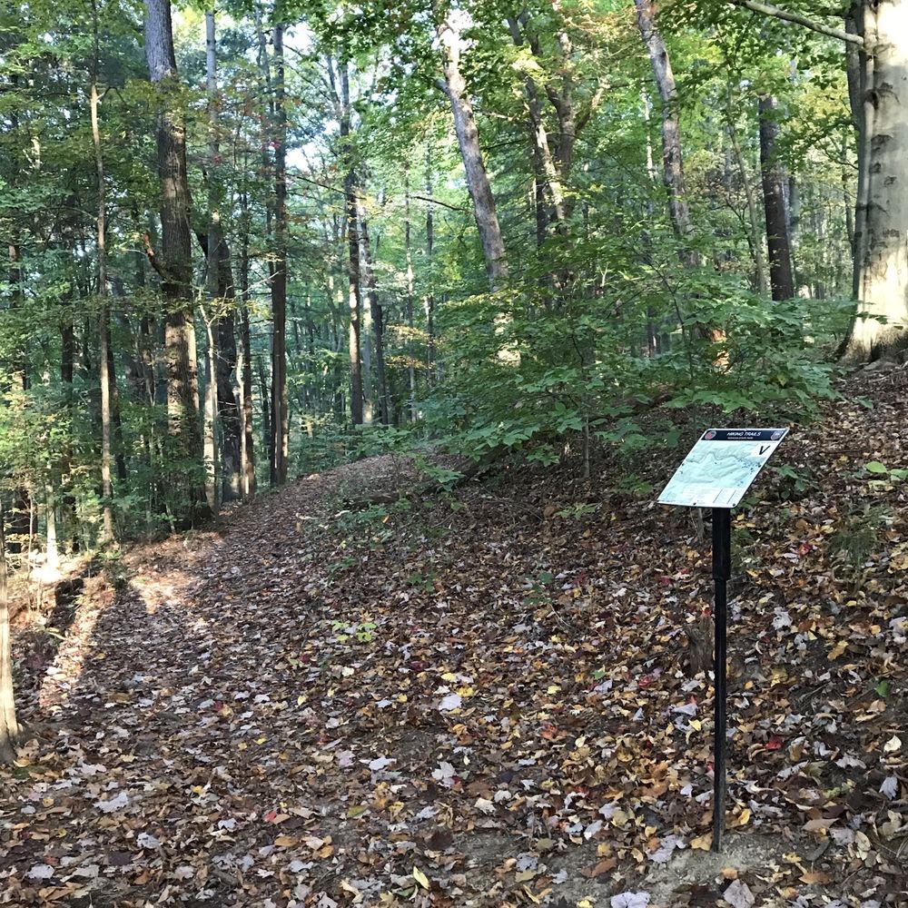 Mohican State Park - Hiking Near Me - Loudonville, Ohio