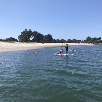 SUP California - Paddle boarding with dolphins! - Paddleboarding Near Me - San Diego, California SUP California - Paddle boarding with dolphins! - Paddleboarding Near Me - San Diego, California