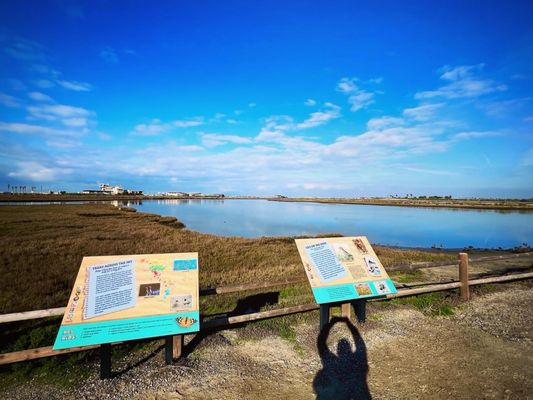 Bolsa Chica Ecological Reserve by null
