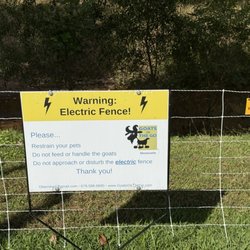 Temporary electric fence to keep goats in and intruders out