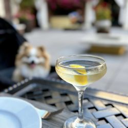 Vesper, Hendrick's | $21
