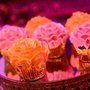 Photo of Milo's Pastry