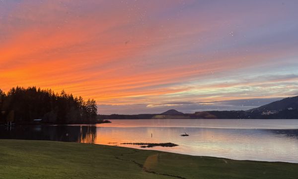 The Salmon House Restaurant by null