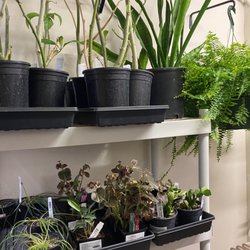 13th Street Nursery