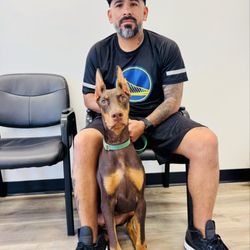 Mayfair Vet Care - Here with Jade (Doberman)... in the front lobby