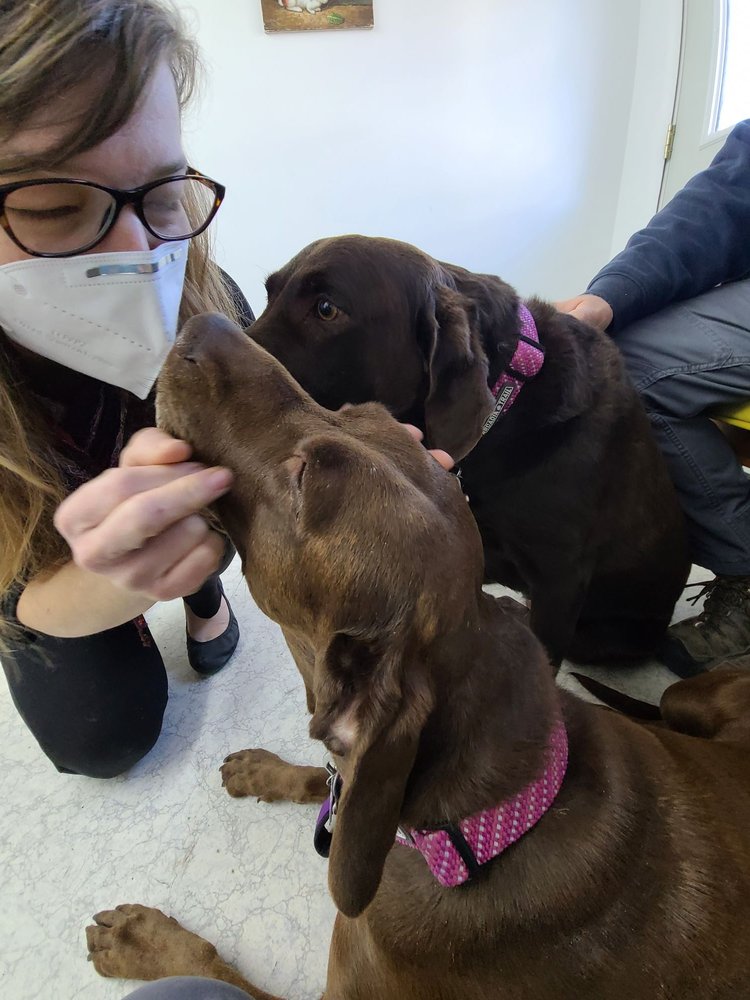 WEST YELLOWSTONE VETERINARY HOSPITAL Updated August 2024 35 Gibbon