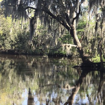 Airboat Adventures - Boat Tours Near Me - Lafitte, Louisiana