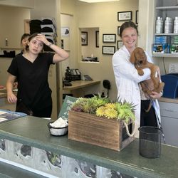 Animal Medical Center