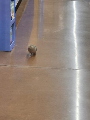 Walmart Supercenter by null