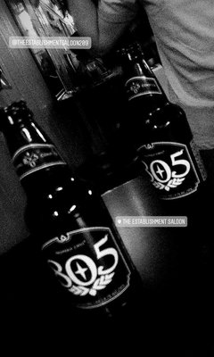 The Establishment by null