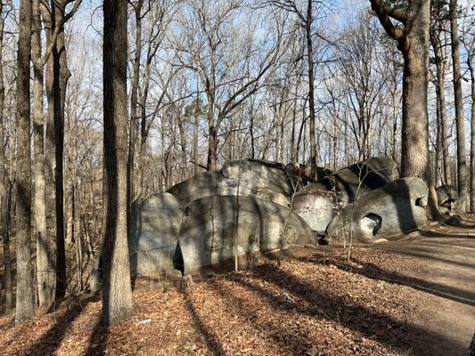 Big Rock Nature Preserve by null