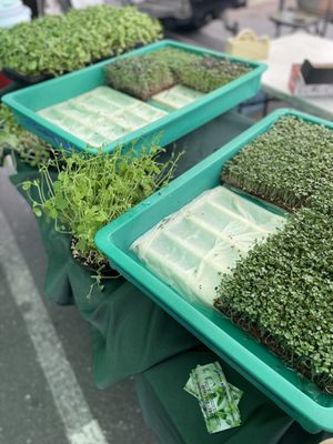Placergrown Farmers' Market, Fountains at Roseville by null