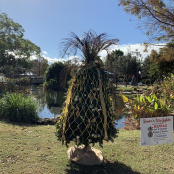 Memorial Park - Christmas trees - Parks Near Me - Stuart, Florida