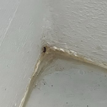 Seven Sisters Campgroud - Ants in shower and shower not clean. - Rafting/Kayaking Near Me - Homosassa, Florida Seven Sisters Campgroud - Ants in shower and shower not clean. - Rafting/Kayaking Near Me - Homosassa, Florida