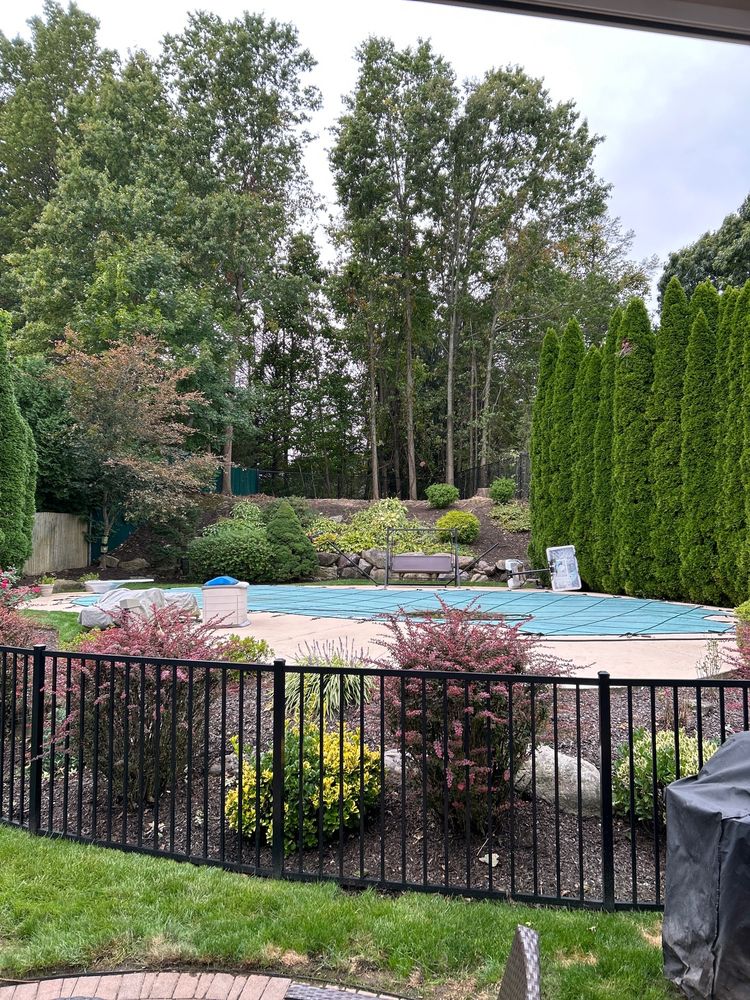 Atlas Tree Service - tree service in Lyndhurst, NJ