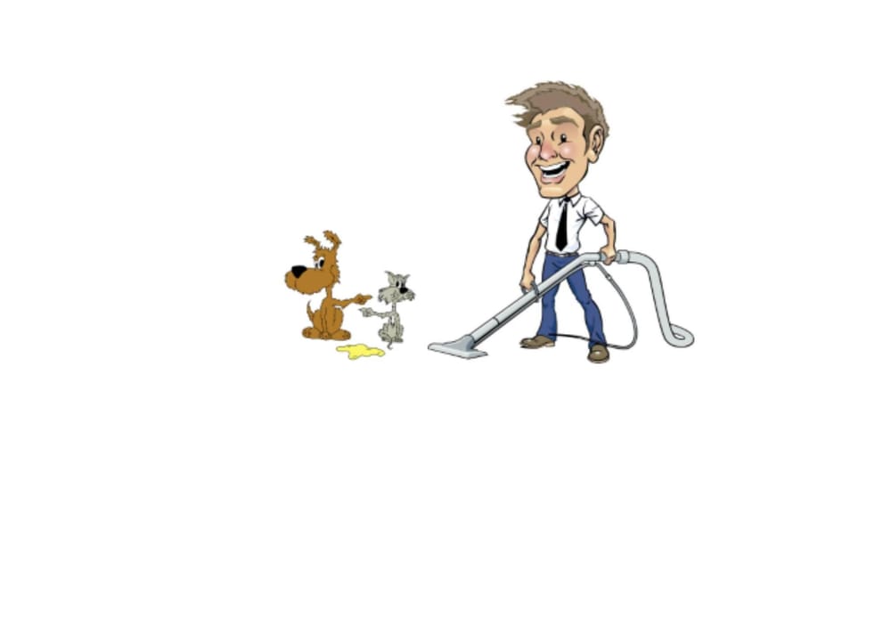 Harold's Old Fashioned Carpet and Upholstery Cleaning - upholstery in Norton, OH