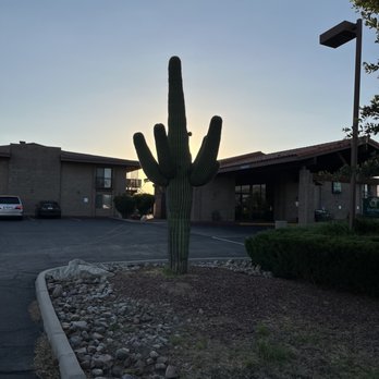Quality Inn - Really cool cactus in front! - Hotels Near Me - Benson, Arizona