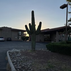 Quality Inn - Really cool cactus in front!