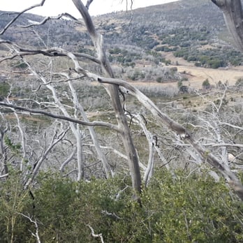Stonewall Peak Trail - Parks Near Me - Descanso, California Stonewall Peak Trail - Parks Near Me - Descanso, California