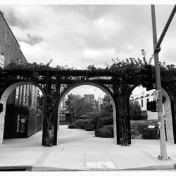 LA Plaza de Cultura y Artes - Arc de LA Plaza.