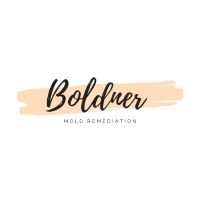 Boldner Mold Remediation - mold inspector in Akron, OH