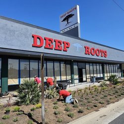 Deep Roots Garden Center in Torrance, CA - South Bay's largest indoor plant nursery with rare houseplants, pottery, organic s...