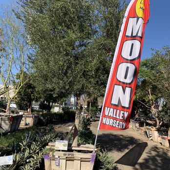 Moon Valley Nurseries - Tree Services Near Me - Chino, California Moon Valley Nurseries - Tree Services Near Me - Chino, California