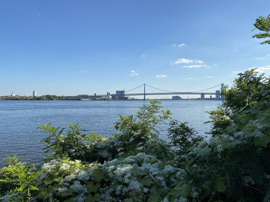 Penn Treaty Park by null