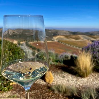 DAOU Vineyards - Wineries Near Me - Paso Robles, California