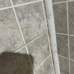Kent's Tex-Mex - Poop or pudding going down the wall