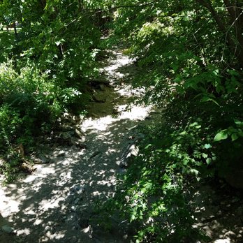 Happy Hollow Park - view of gully along the hiking trail - Parks Near Me - West Lafayette, Indiana Happy Hollow Park - view of gully along the hiking trail - Parks Near Me - West Lafayette, Indiana