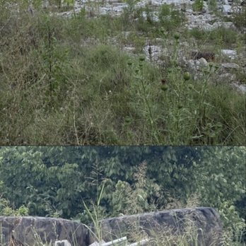 WBIR-TV - An illegal dump 60 foot deep oh God only knows what's underneath that - Television Stations Near Me - Knoxville, Tennessee WBIR-TV - An illegal dump 60 foot deep oh God only knows what's underneath that - Television Stations Near Me - Knoxville, Tennessee