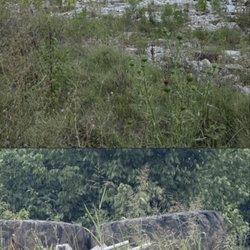 WBIR-TV - An illegal dump 60 foot deep oh God only knows what's underneath that