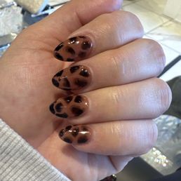 Tortoise shell full set