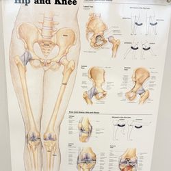 Select Physical Therapy - Anaheim - Katella