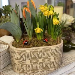 Andy's Garden - Bulb Garden