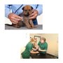 Photo of Shepherd Veterinary Centre