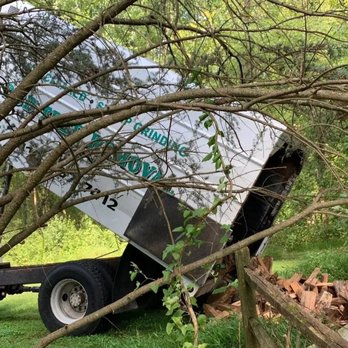 D&D Tree Removal - Tree Services Near Me - Harwood, Maryland D&D Tree Removal - Tree Services Near Me - Harwood, Maryland