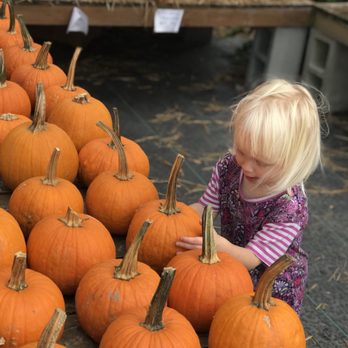 Lee's Produce and Garden - Nurseries & Gardening Near Me - Clayton, North Carolina